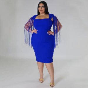 Sexy Tassel Sleeveless Elegant Figure-hugging Dress