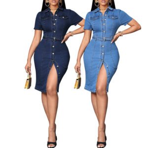 Womens Mid-Length Retro Button-Front Denim Dress
